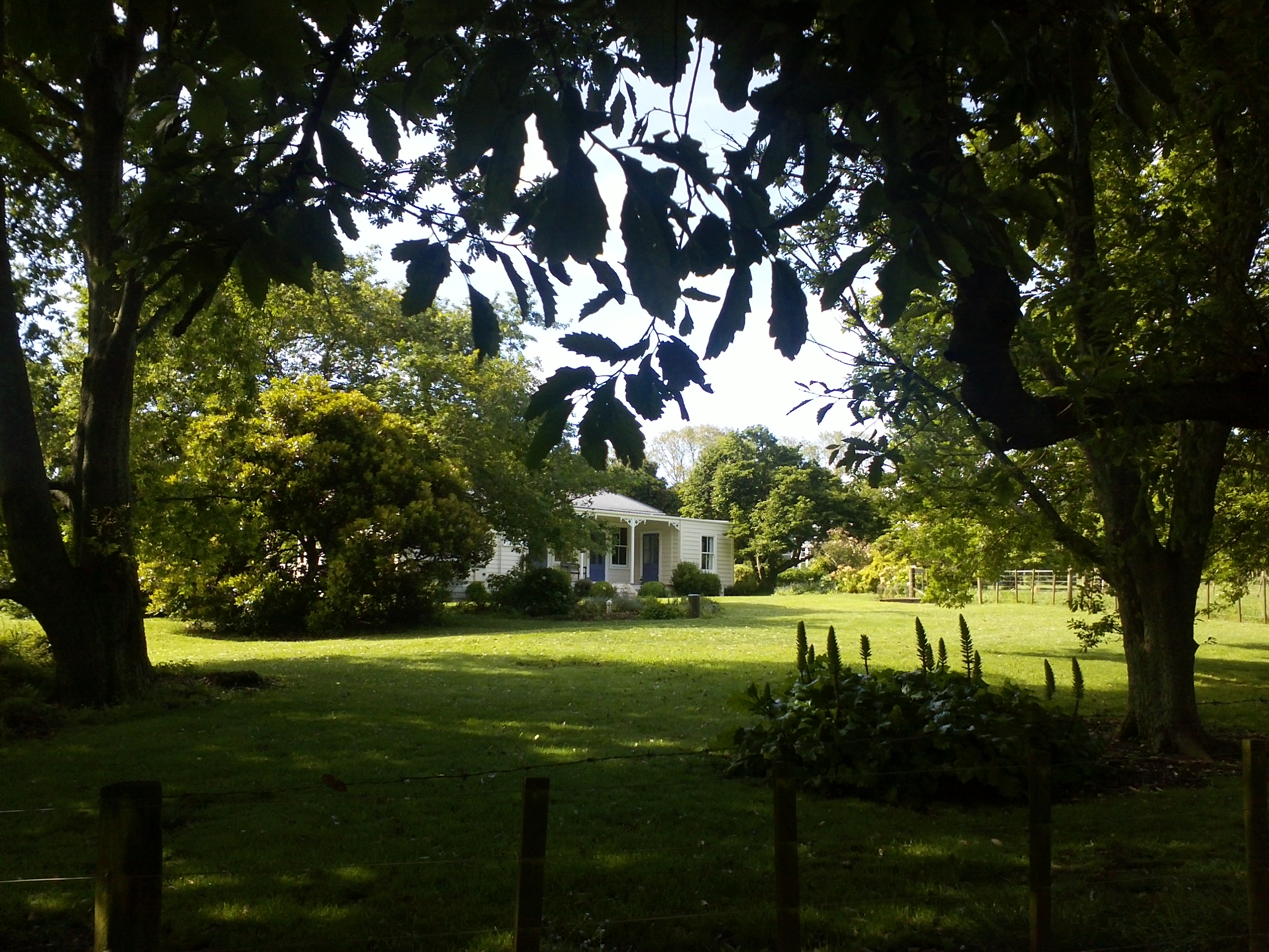 Sun and shade